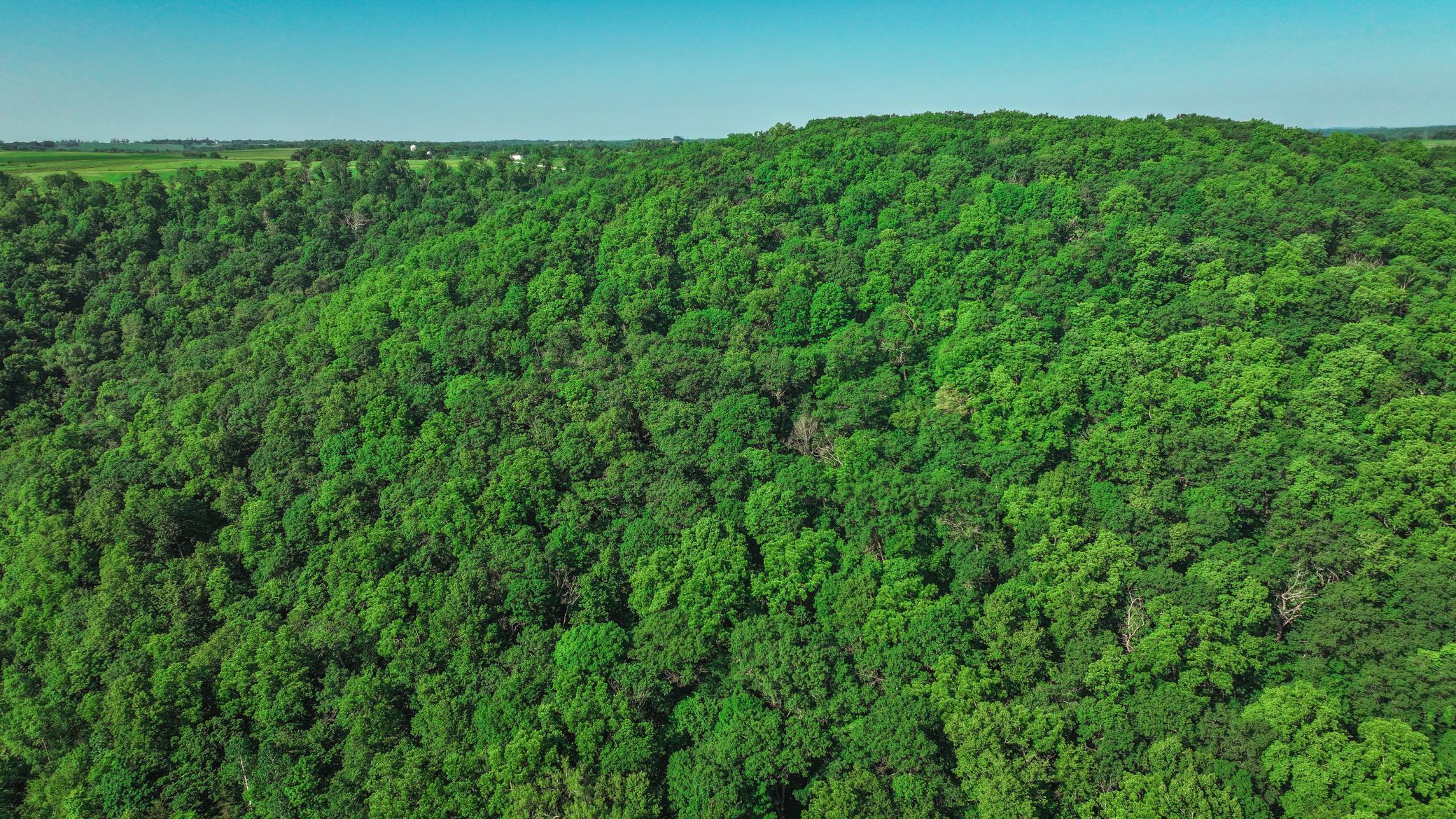 Xxx East Twin Ridge Road Houston, MN 55943 - Photo 11 of 94