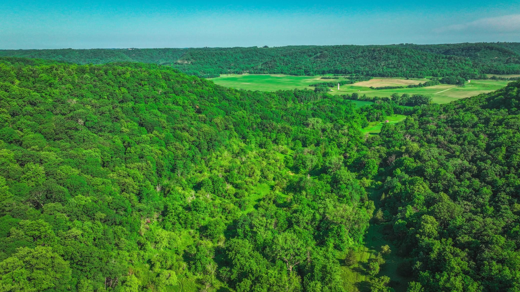 Xxx East Twin Ridge Road Houston, MN 55943 - Photo 12 of 94