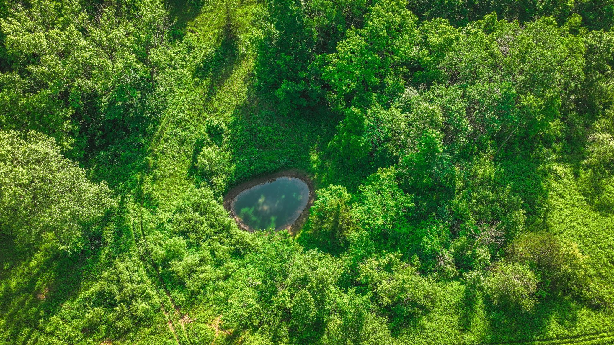 Xxx East Twin Ridge Road Houston, MN 55943 - Photo 14 of 94