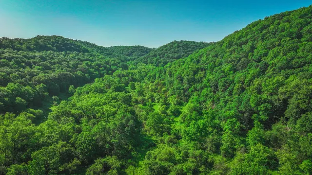 $1,099,000 | Xxx East Twin Ridge Road, Houston, MN 55943