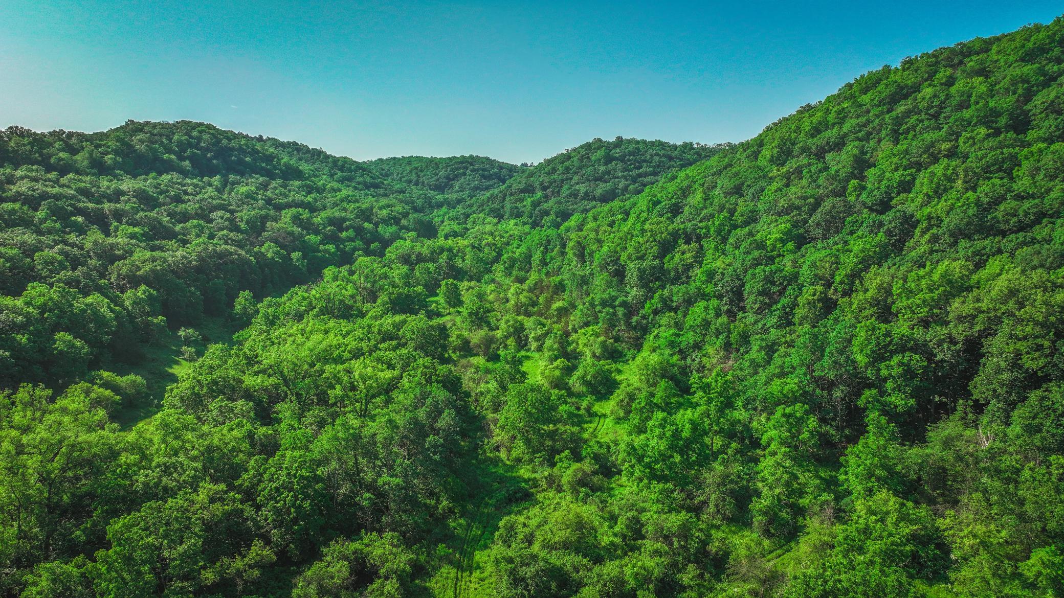 Xxx East Twin Ridge Road Houston, MN 55943 - Photo 15 of 94