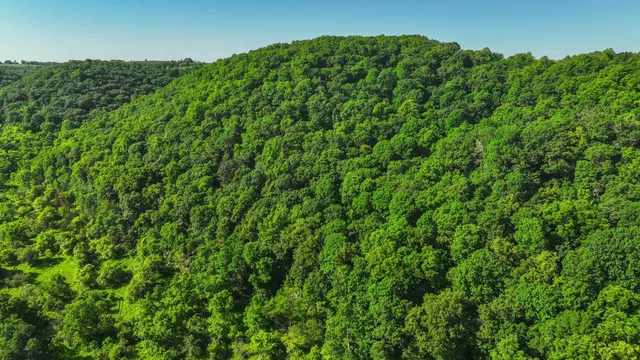 $1,099,000 | Xxx East Twin Ridge Road, Houston, MN 55943