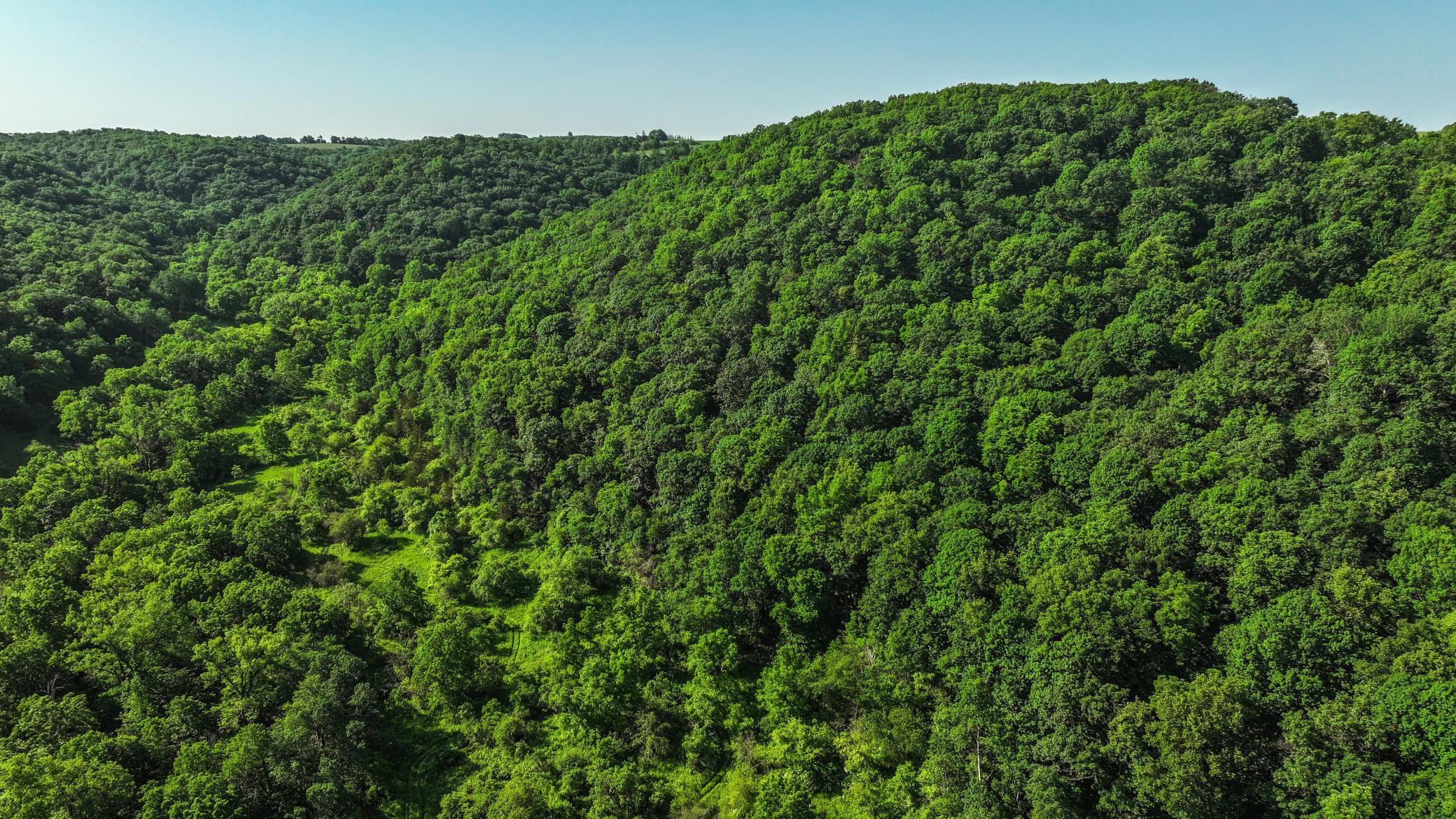 Xxx East Twin Ridge Road Houston, MN 55943 - Photo 17 of 94