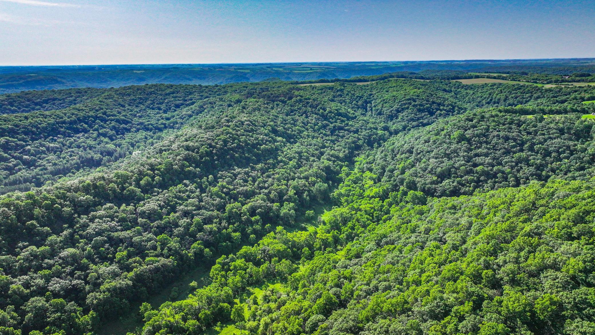 Xxx East Twin Ridge Road Houston, MN 55943 - Photo 19 of 94