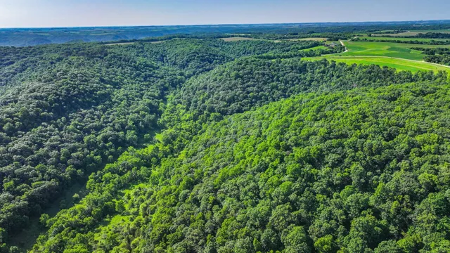 $1,099,000 | Xxx East Twin Ridge Road, Houston, MN 55943