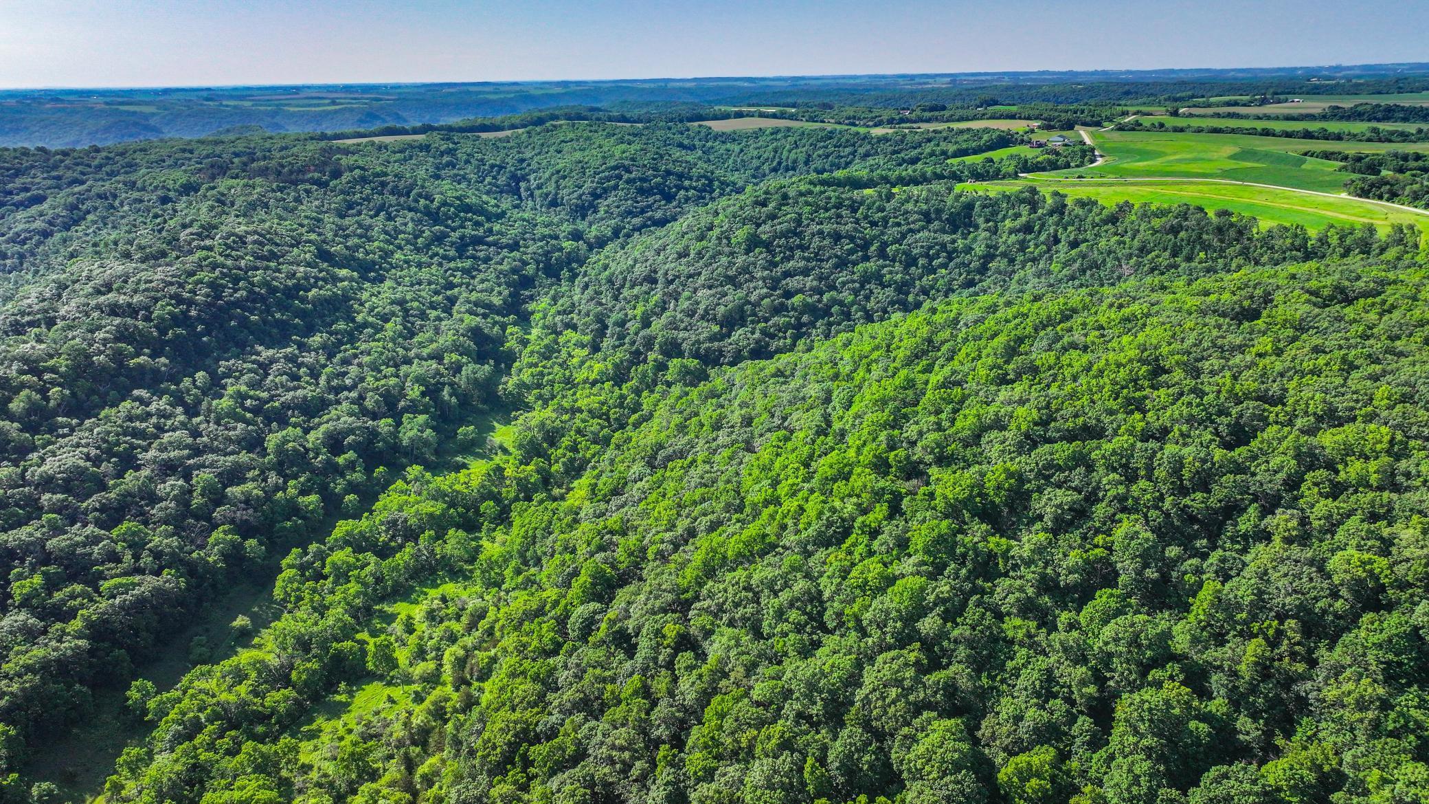 Xxx East Twin Ridge Road Houston, MN 55943 - Photo 20 of 94