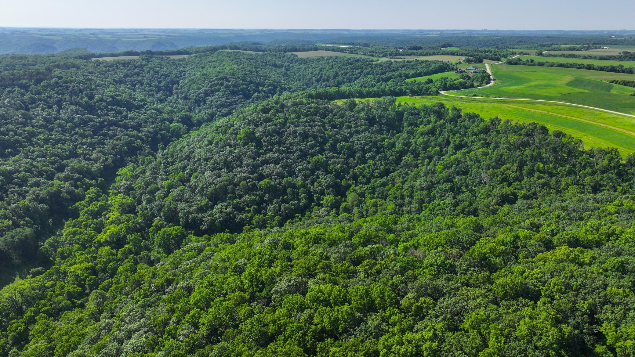 Xxx East Twin Ridge Road Houston, MN 55943 - Photo 21 of 94