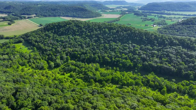 $1,099,000 | Xxx East Twin Ridge Road, Houston, MN 55943