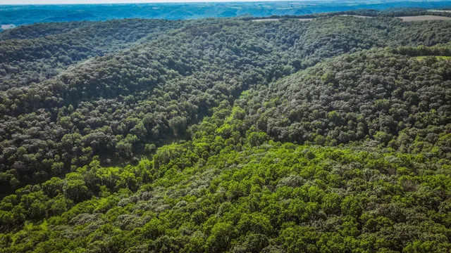 $1,099,000 | Xxx East Twin Ridge Road, Houston, MN 55943