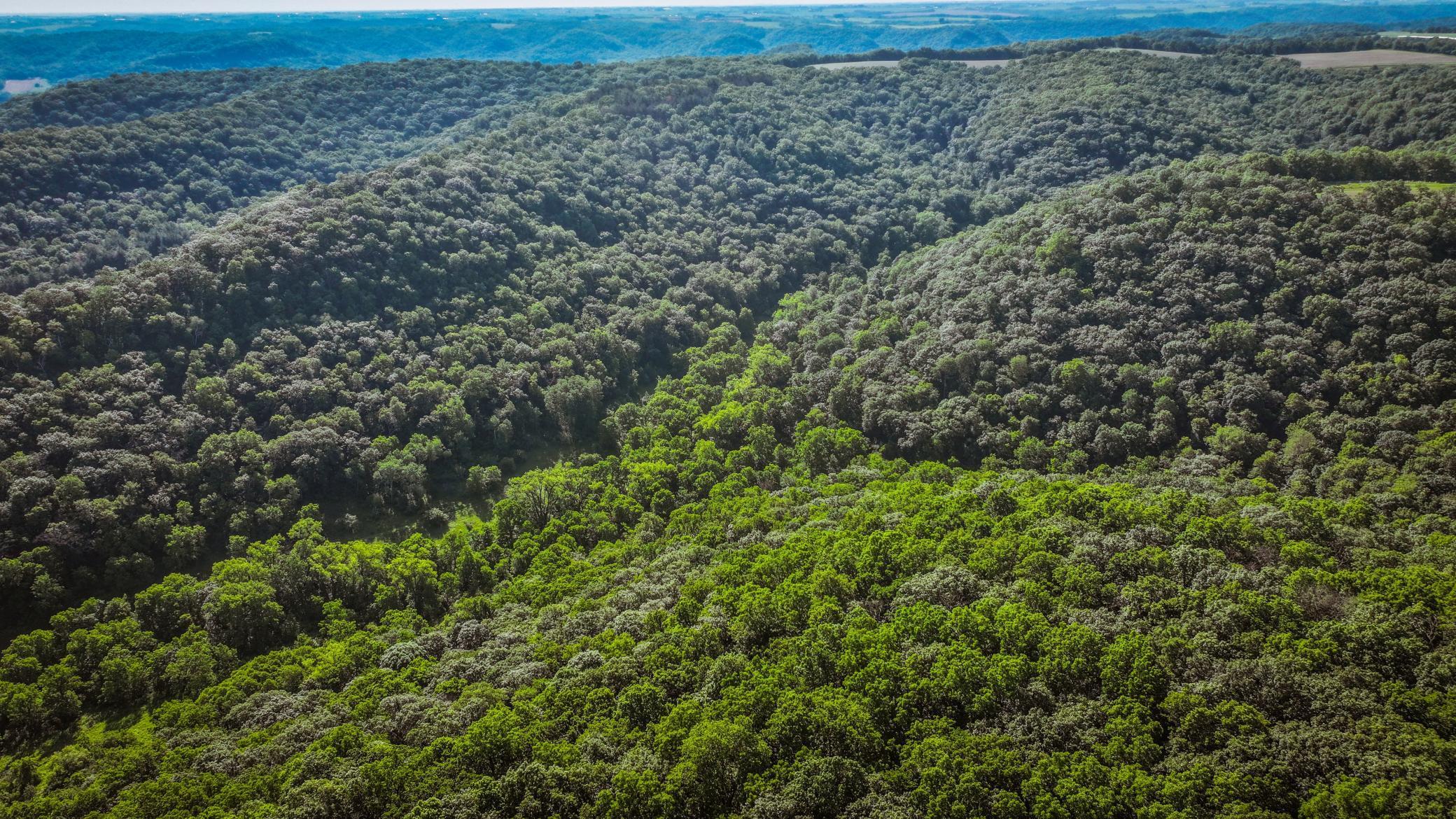 Xxx East Twin Ridge Road Houston, MN 55943 - Photo 24 of 94