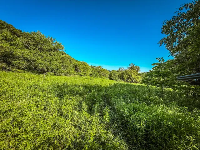 $1,099,000 | Xxx East Twin Ridge Road, Houston, MN 55943