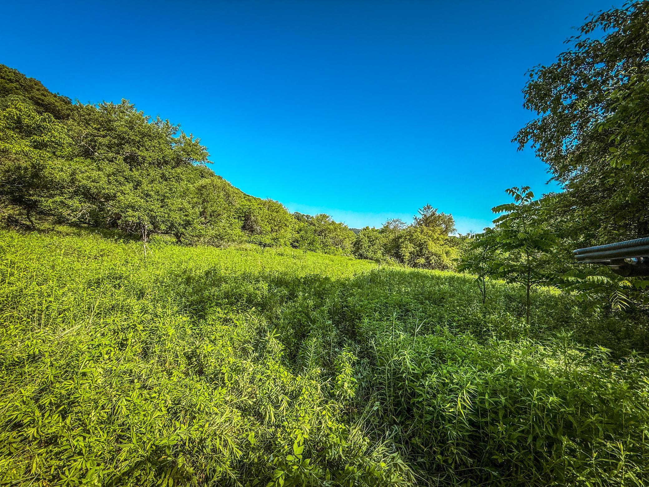 Xxx East Twin Ridge Road Houston, MN 55943 - Photo 25 of 94