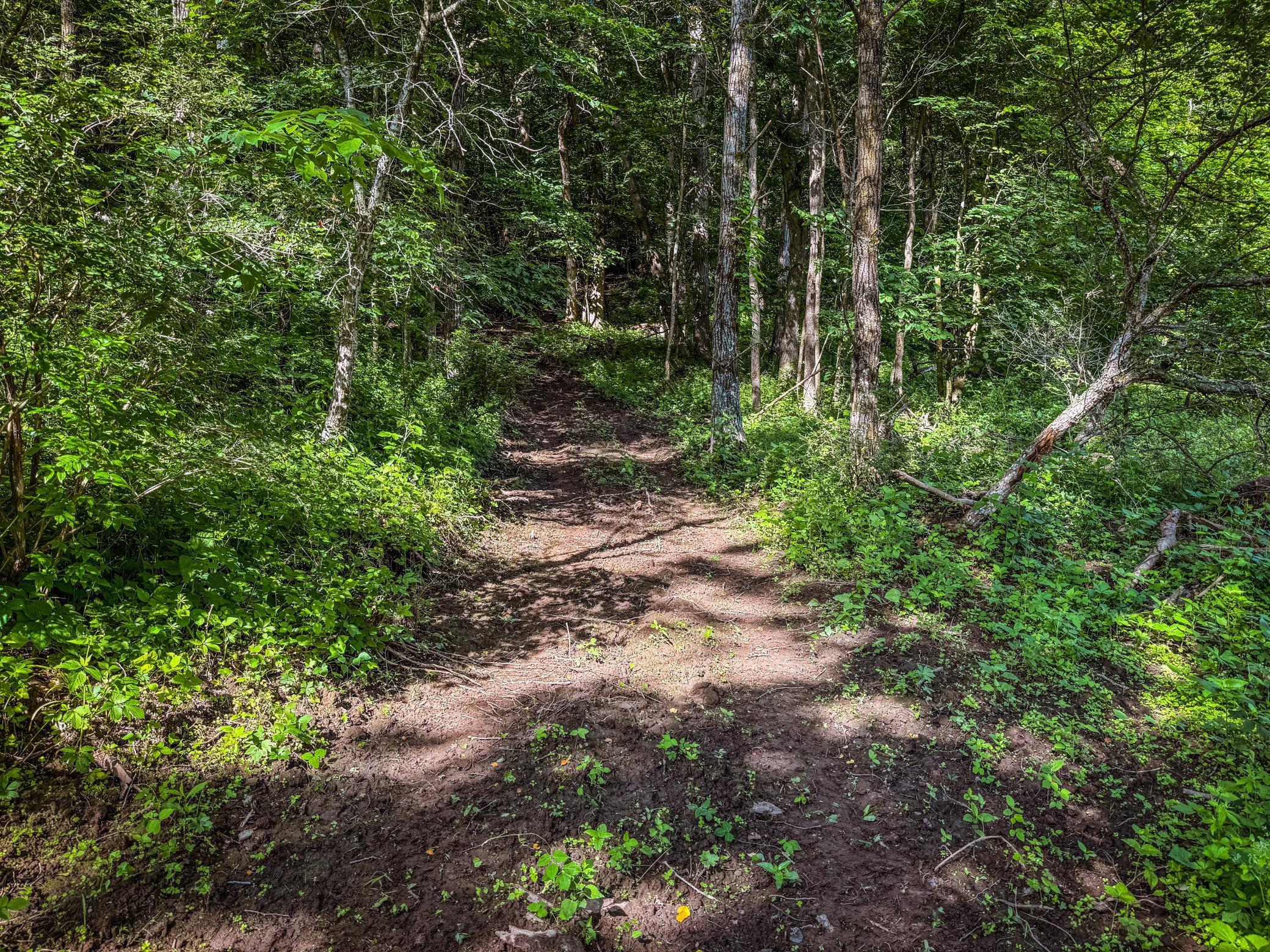 Xxx East Twin Ridge Road Houston, MN 55943 - Photo 26 of 94