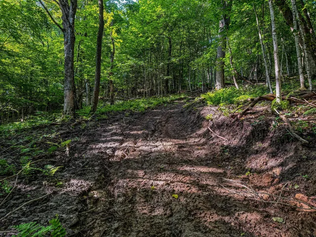 $1,099,000 | Xxx East Twin Ridge Road, Houston, MN 55943