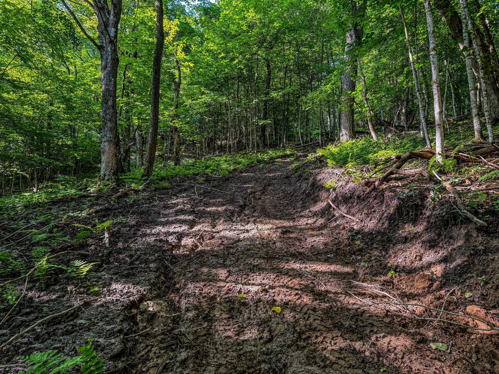 Xxx East Twin Ridge Road Houston, MN 55943 - Photo 27 of 94