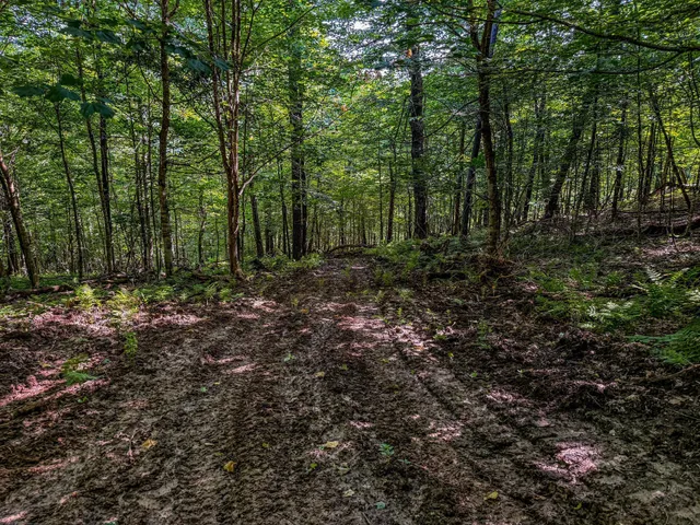 $1,099,000 | Xxx East Twin Ridge Road, Houston, MN 55943