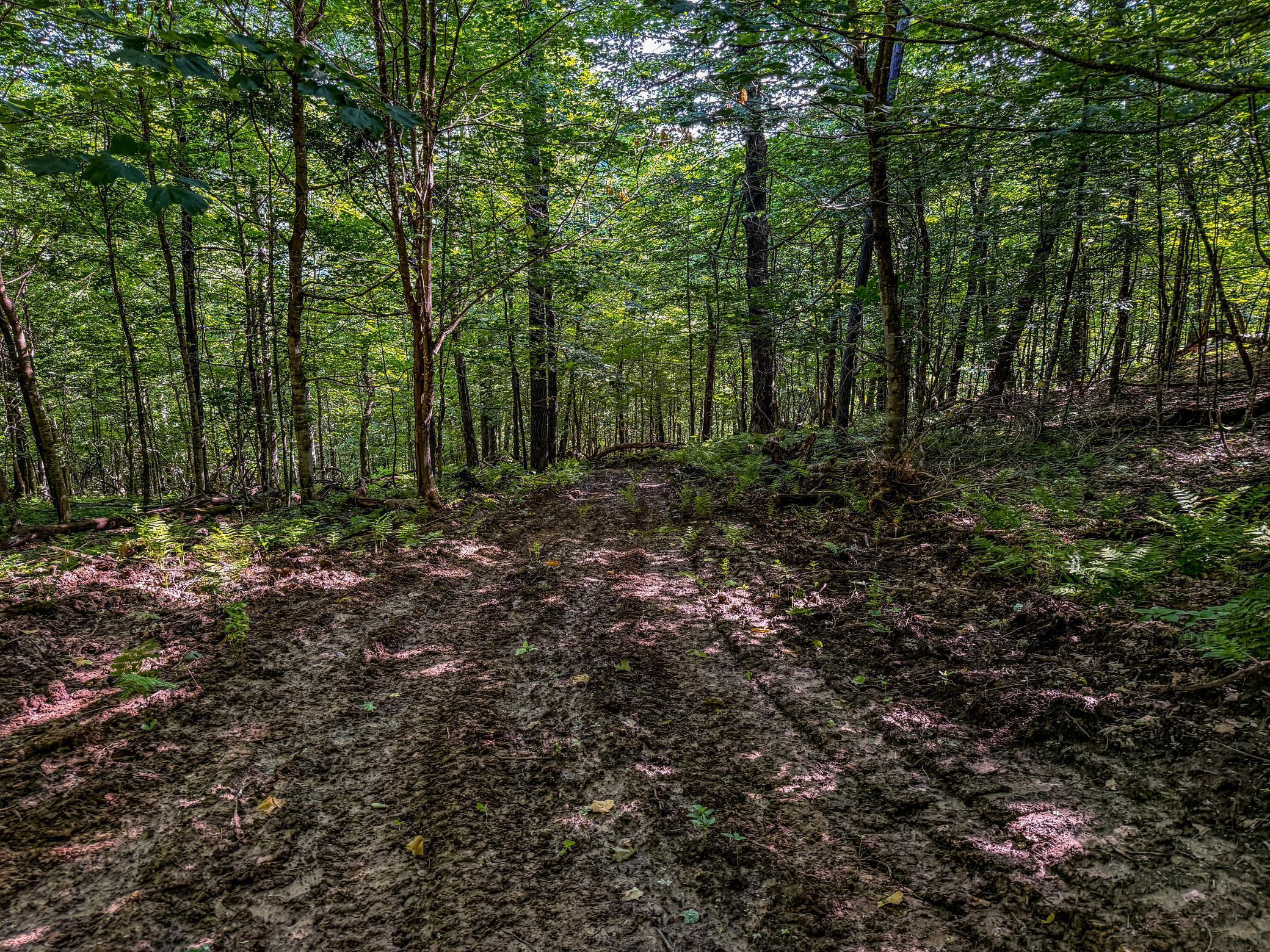 Xxx East Twin Ridge Road Houston, MN 55943 - Photo 28 of 94