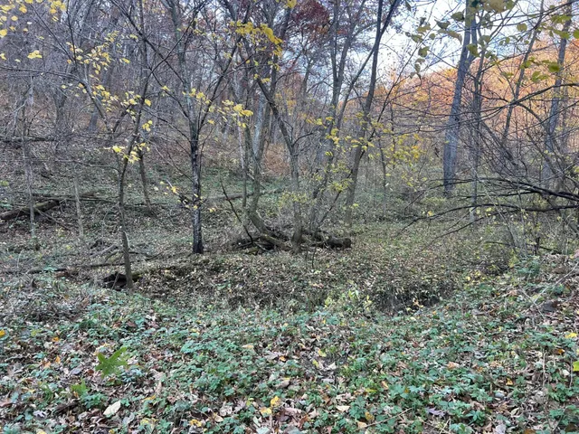 $1,099,000 | Xxx East Twin Ridge Road, Houston, MN 55943