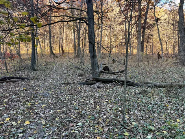 $1,099,000 | Xxx East Twin Ridge Road, Houston, MN 55943