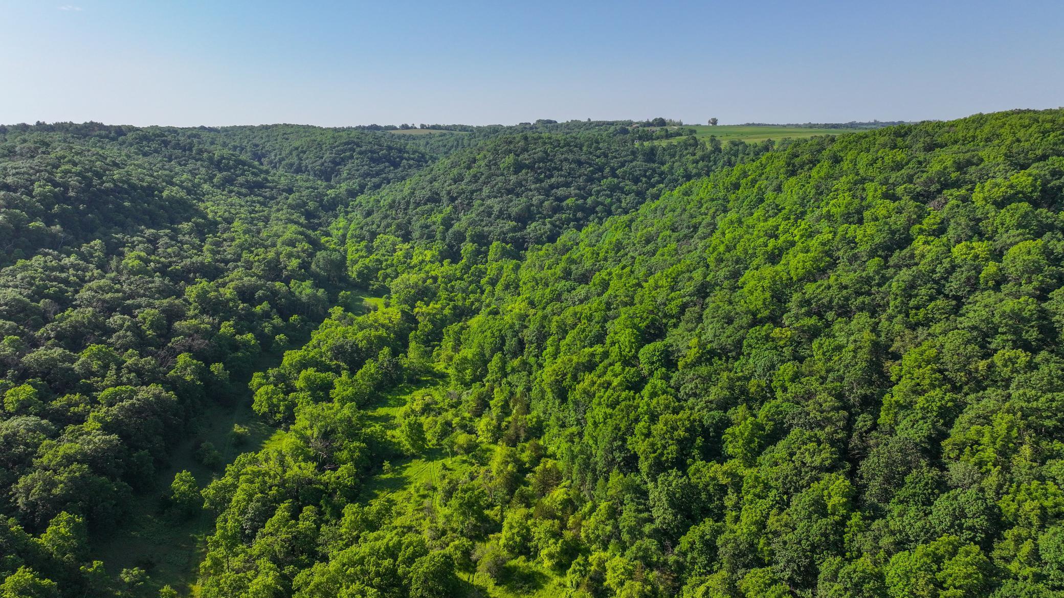 Xxx East Twin Ridge Road Houston, MN 55943 - Photo 3 of 94