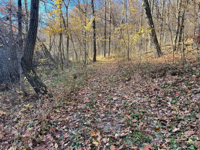 $1,099,000 | Xxx East Twin Ridge Road, Houston, MN 55943