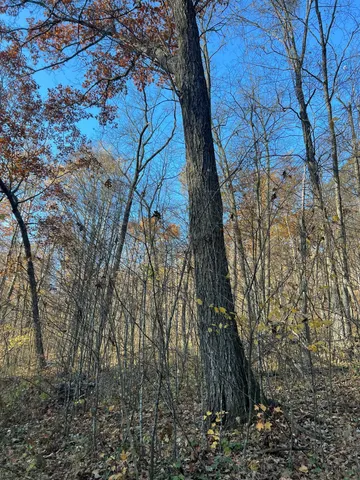 $1,099,000 | Xxx East Twin Ridge Road, Houston, MN 55943