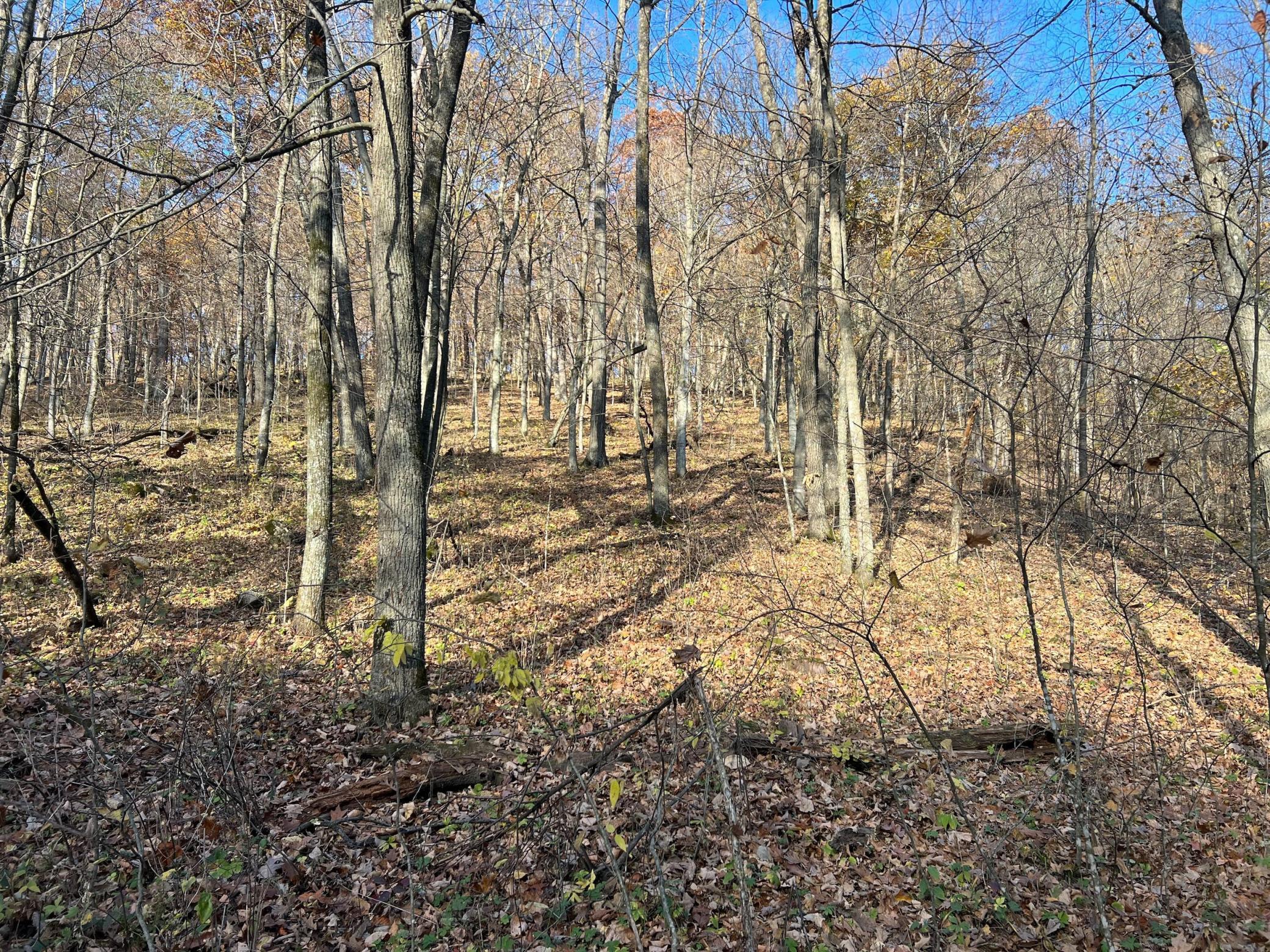 Xxx East Twin Ridge Road Houston, MN 55943 - Photo 34 of 94