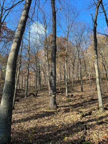 $1,099,000 | Xxx East Twin Ridge Road, Houston, MN 55943