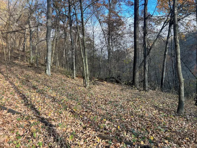 $1,099,000 | Xxx East Twin Ridge Road, Houston, MN 55943