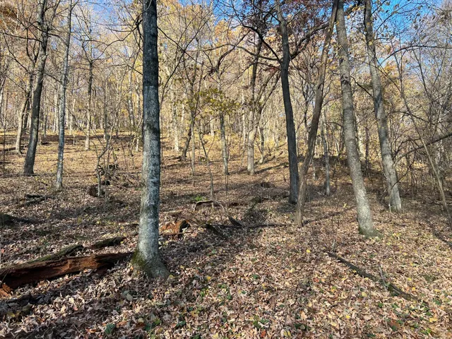 $1,099,000 | Xxx East Twin Ridge Road, Houston, MN 55943