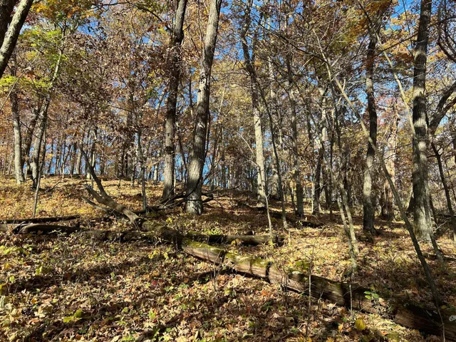 $1,099,000 | Xxx East Twin Ridge Road, Houston, MN 55943