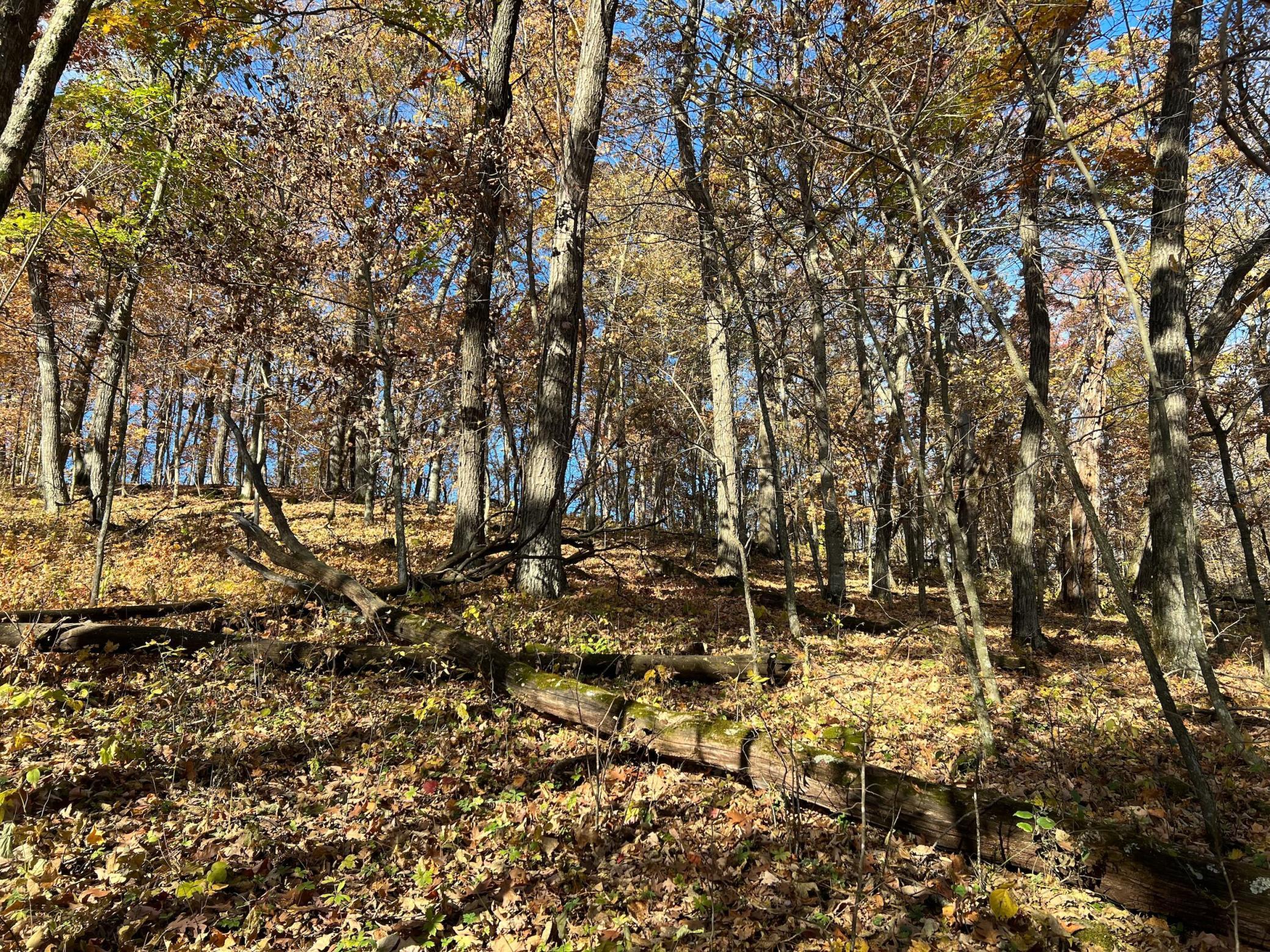 Xxx East Twin Ridge Road Houston, MN 55943 - Photo 38 of 94