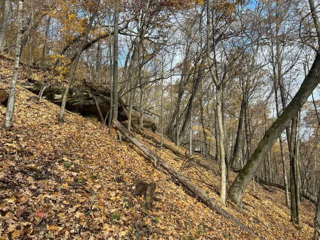 $1,099,000 | Xxx East Twin Ridge Road, Houston, MN 55943