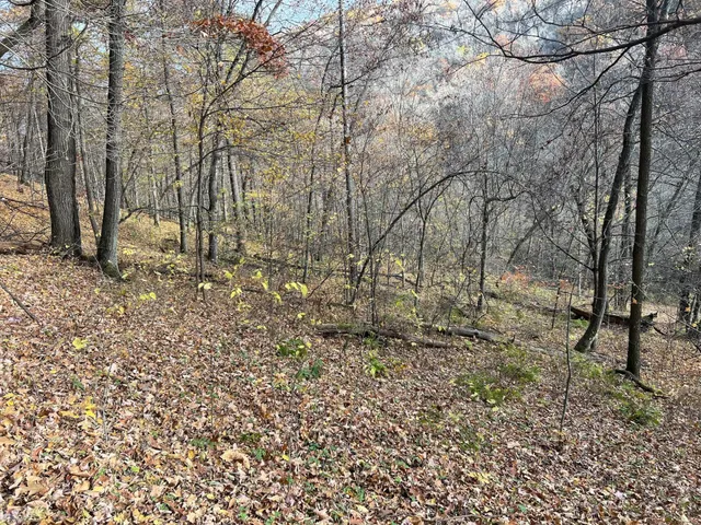 $1,099,000 | Xxx East Twin Ridge Road, Houston, MN 55943