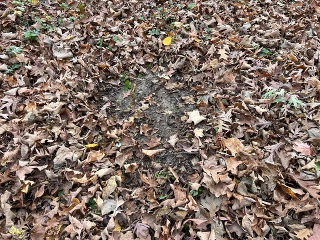 $1,099,000 | Xxx East Twin Ridge Road, Houston, MN 55943