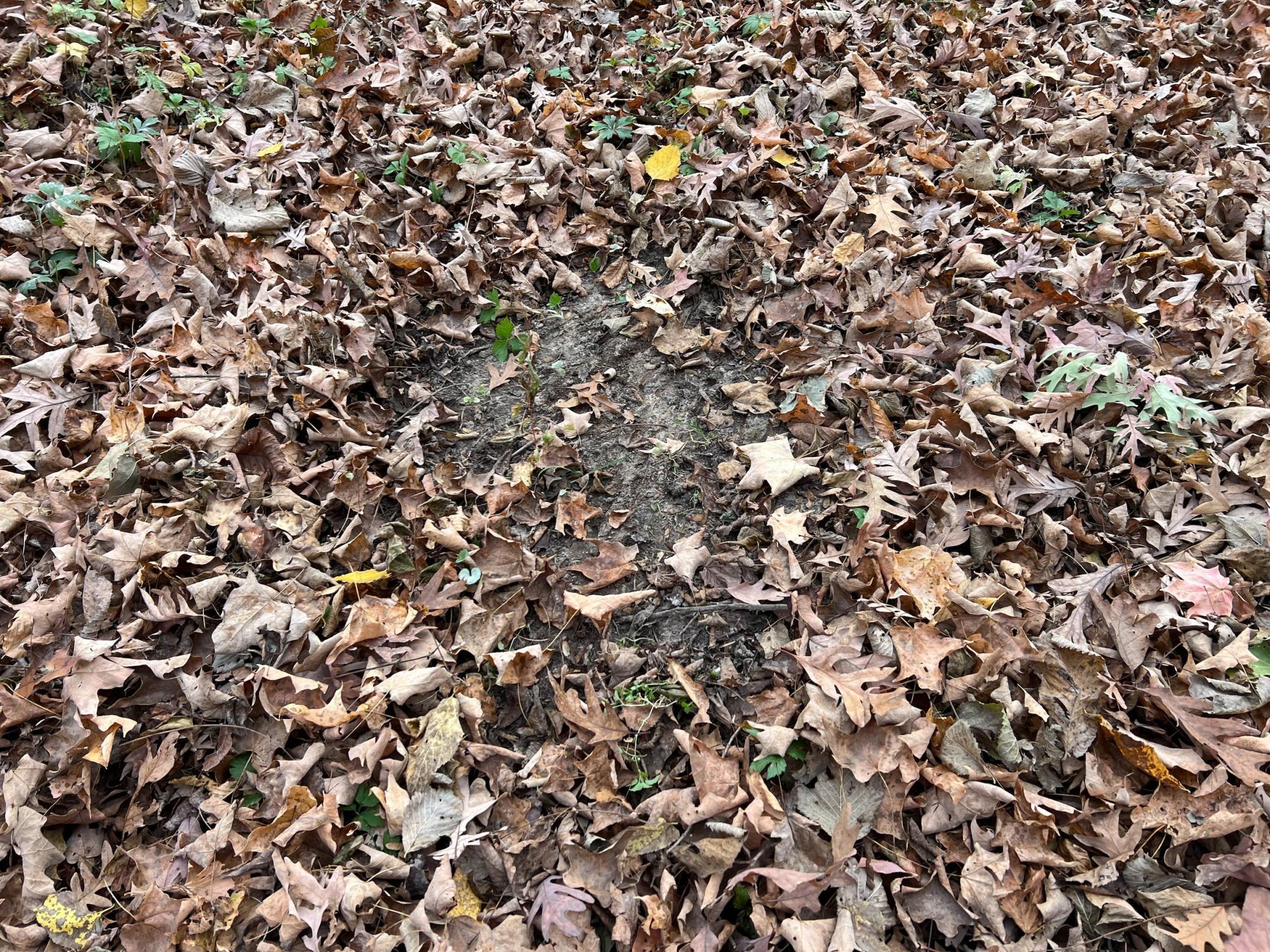 Xxx East Twin Ridge Road Houston, MN 55943 - Photo 42 of 94