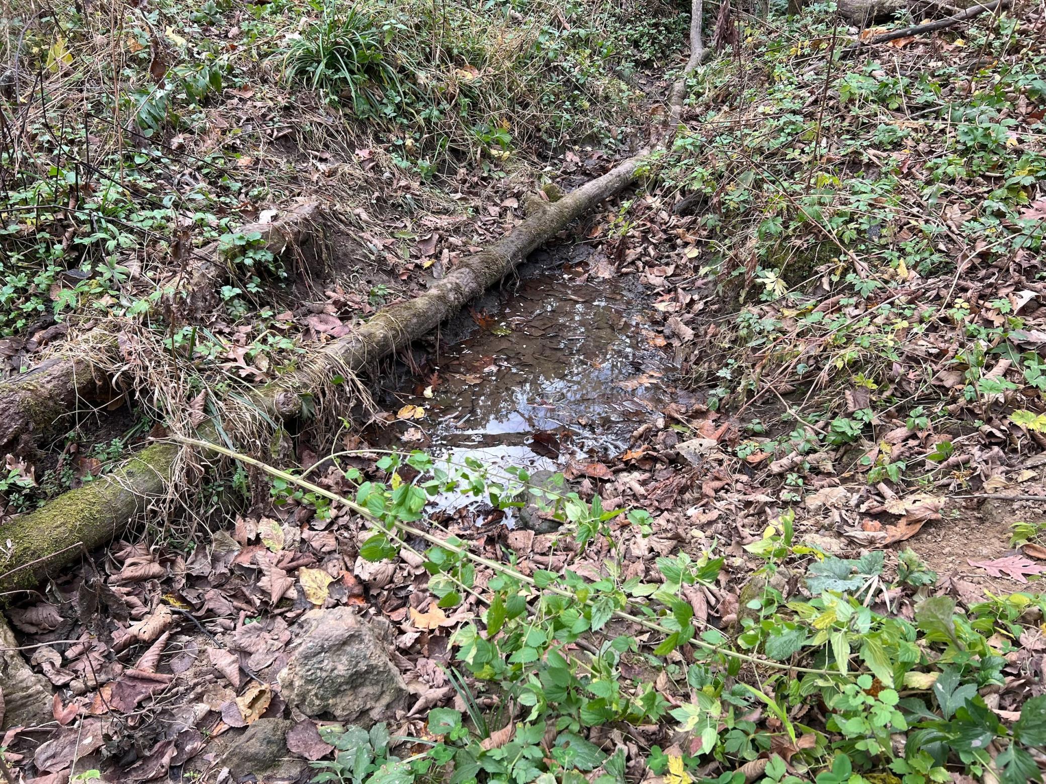 Xxx East Twin Ridge Road Houston, MN 55943 - Photo 43 of 94