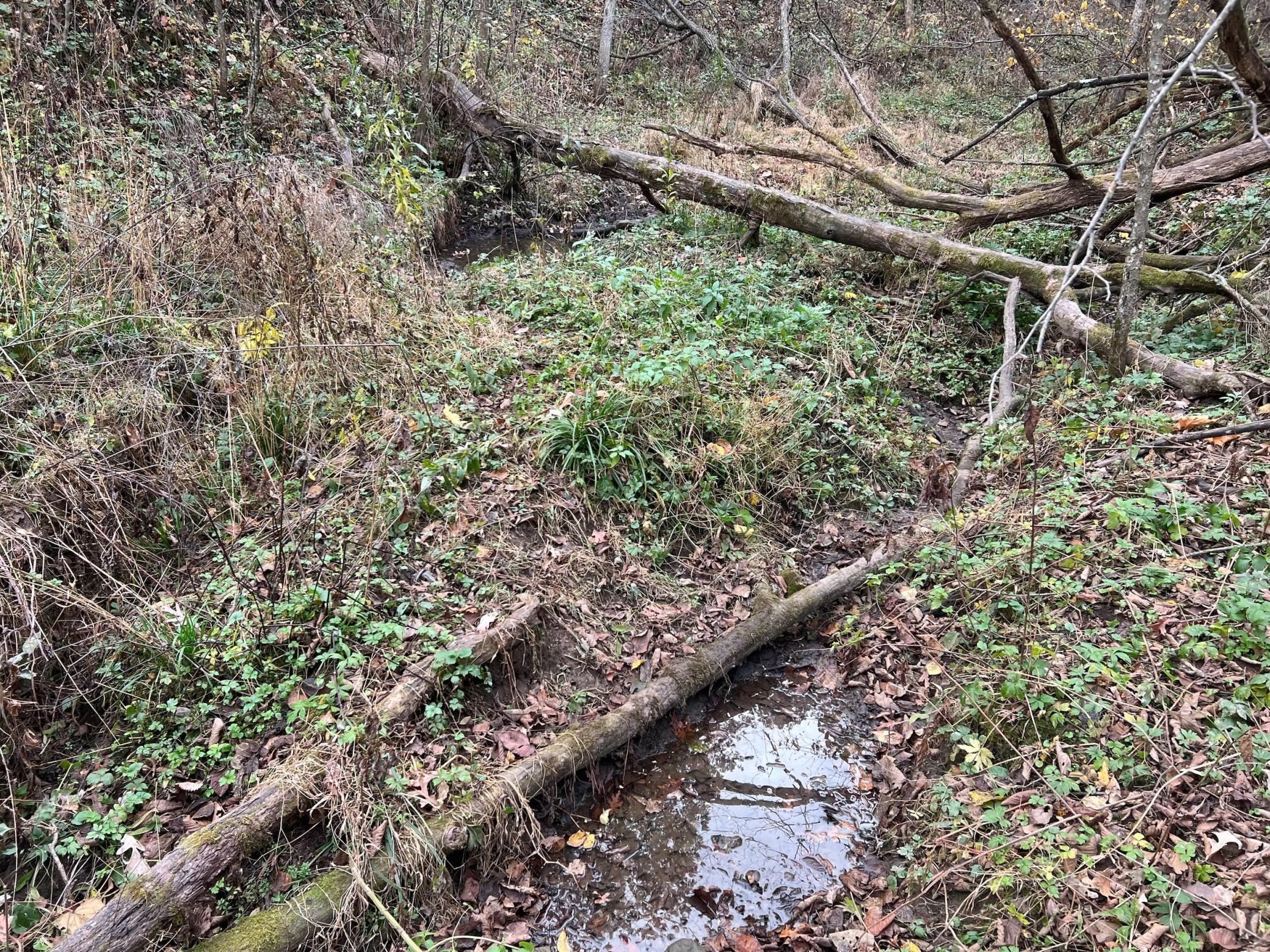 Xxx East Twin Ridge Road Houston, MN 55943 - Photo 44 of 94