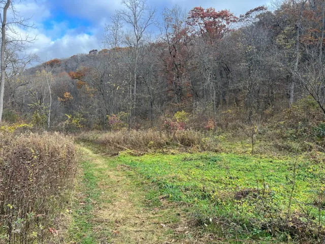 $1,099,000 | Xxx East Twin Ridge Road, Houston, MN 55943