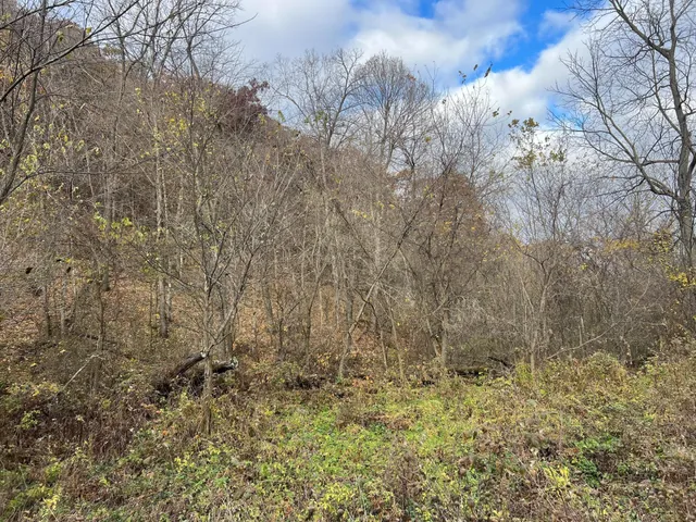 $1,099,000 | Xxx East Twin Ridge Road, Houston, MN 55943