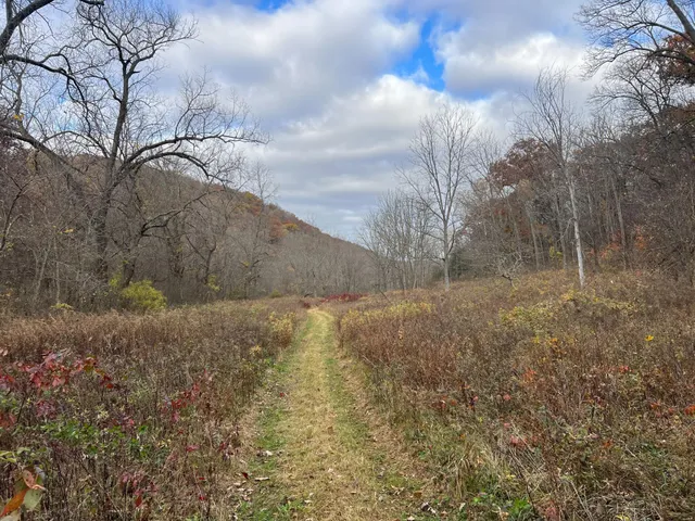 $1,099,000 | Xxx East Twin Ridge Road, Houston, MN 55943