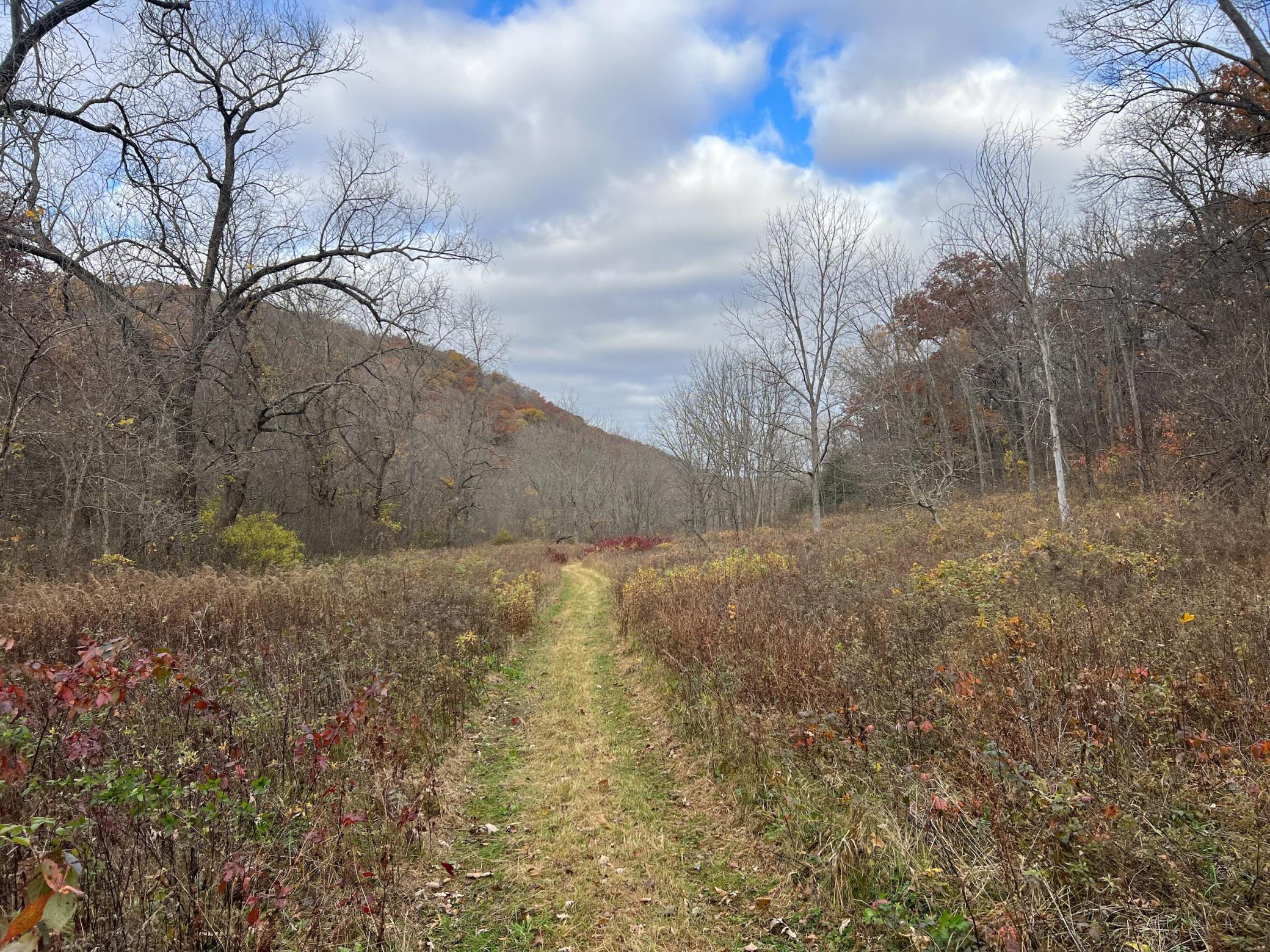 Xxx East Twin Ridge Road Houston, MN 55943 - Photo 47 of 94