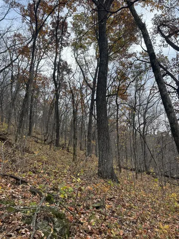 $1,099,000 | Xxx East Twin Ridge Road, Houston, MN 55943