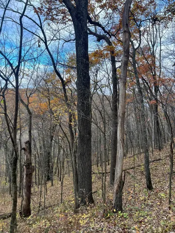 $1,099,000 | Xxx East Twin Ridge Road, Houston, MN 55943