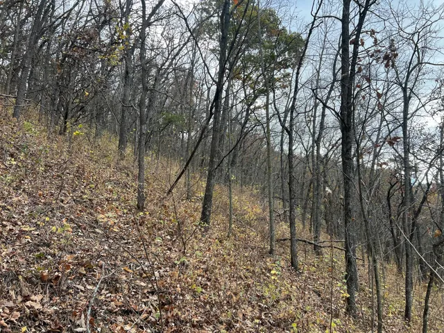 $1,099,000 | Xxx East Twin Ridge Road, Houston, MN 55943