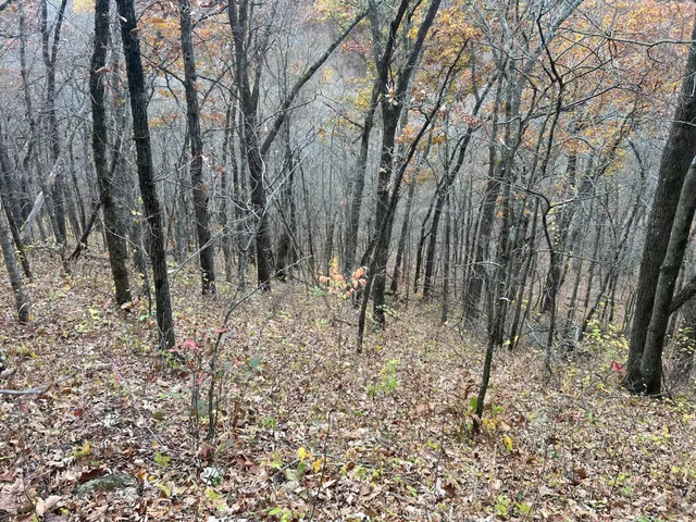 $1,099,000 | Xxx East Twin Ridge Road, Houston, MN 55943