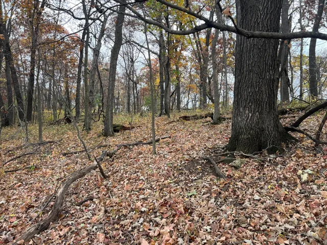 $1,099,000 | Xxx East Twin Ridge Road, Houston, MN 55943