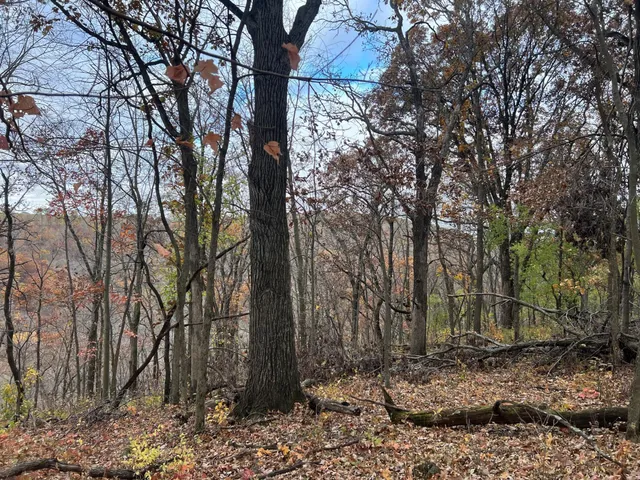 $1,099,000 | Xxx East Twin Ridge Road, Houston, MN 55943