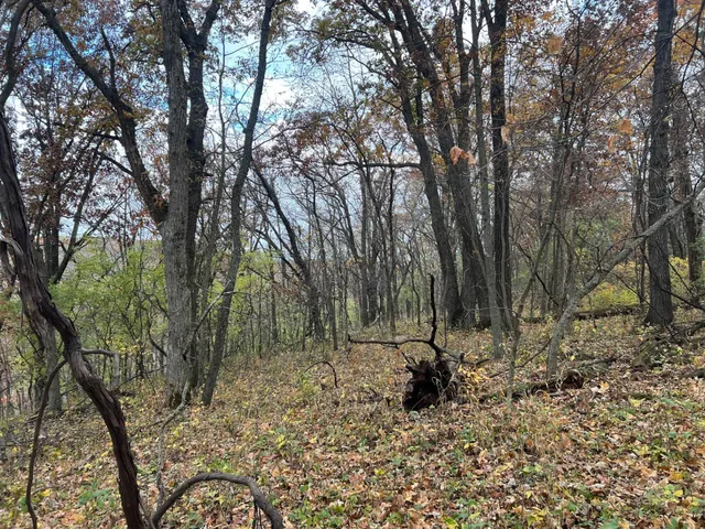 $1,099,000 | Xxx East Twin Ridge Road, Houston, MN 55943