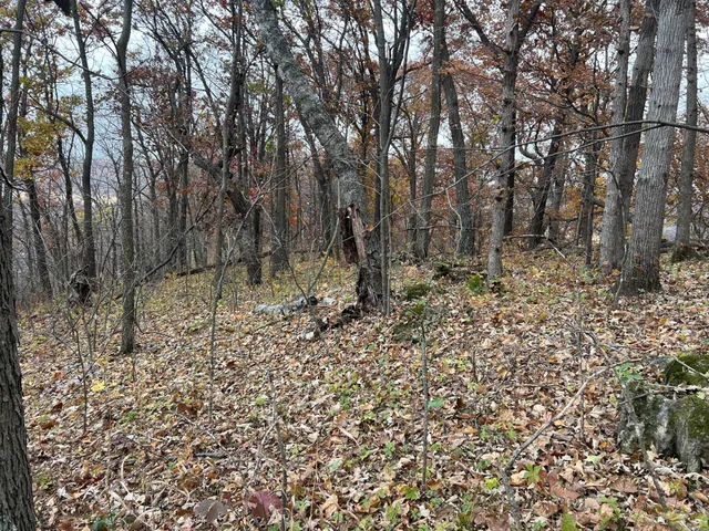 $1,099,000 | Xxx East Twin Ridge Road, Houston, MN 55943